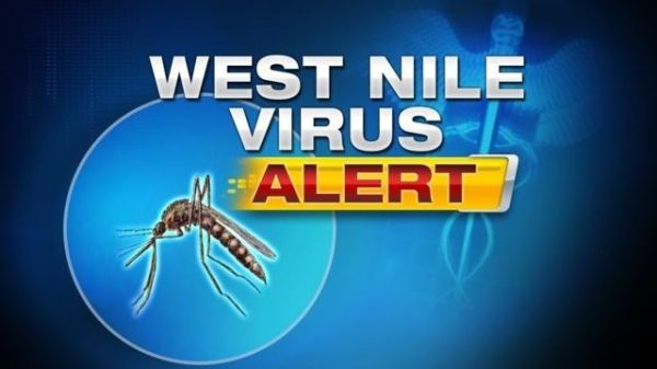 West Nile Virus Positive Bird Reported in Ford County